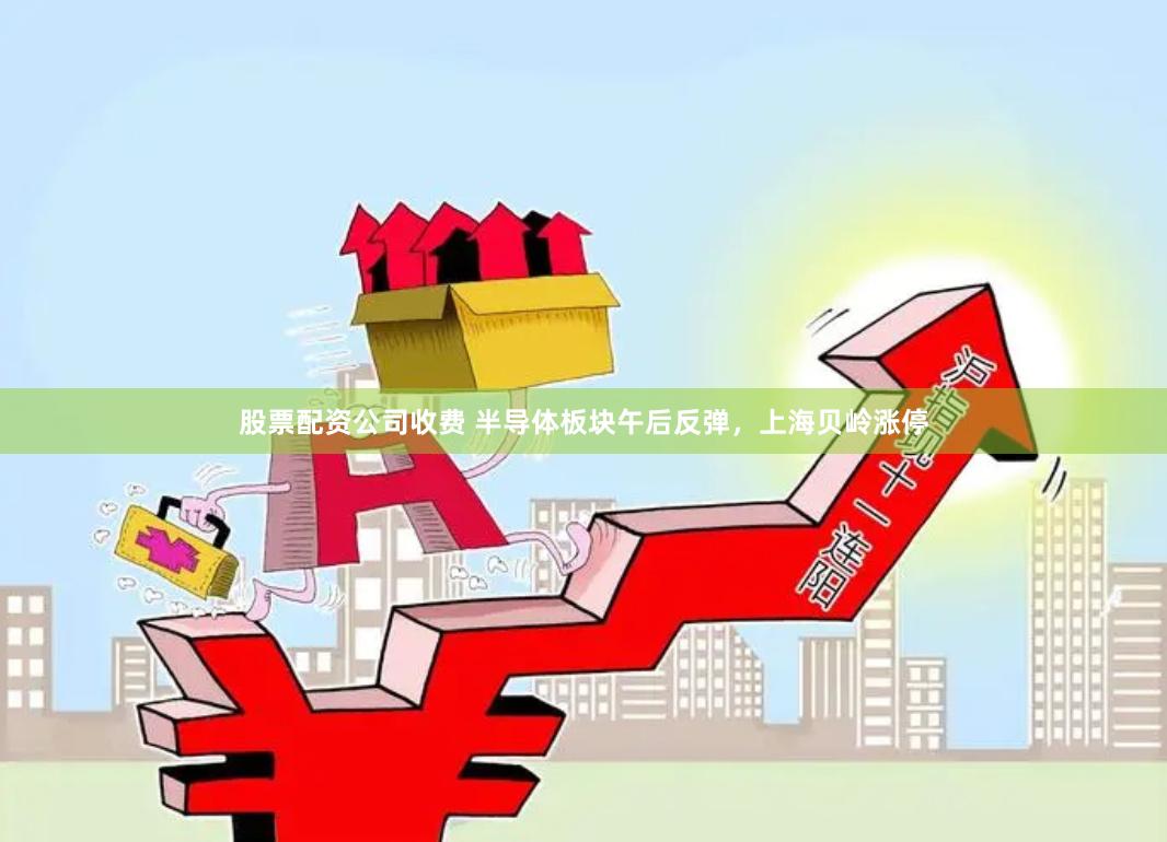股票配资公司收费 半导体板块午后反弹，上海贝岭涨停