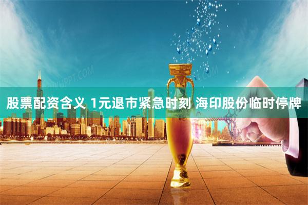 股票配资含义 1元退市紧急时刻 海印股份临时停牌