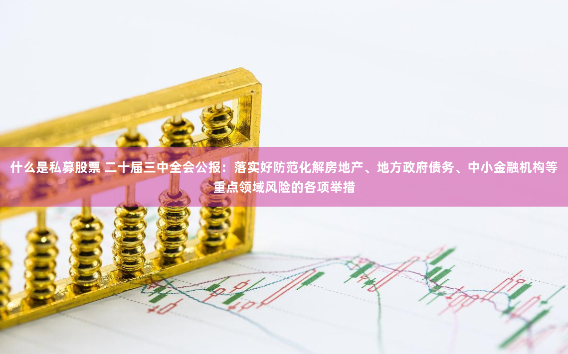 什么是私募股票 二十届三中全会公报：落实好防范化解房地产、地方政府债务、中小金融机构等重点领域风险的各项举措