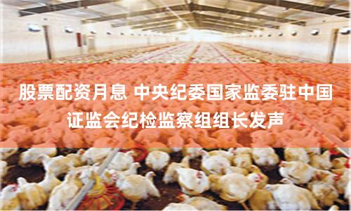 股票配资月息 中央纪委国家监委驻中国证监会纪检监察组组长发声