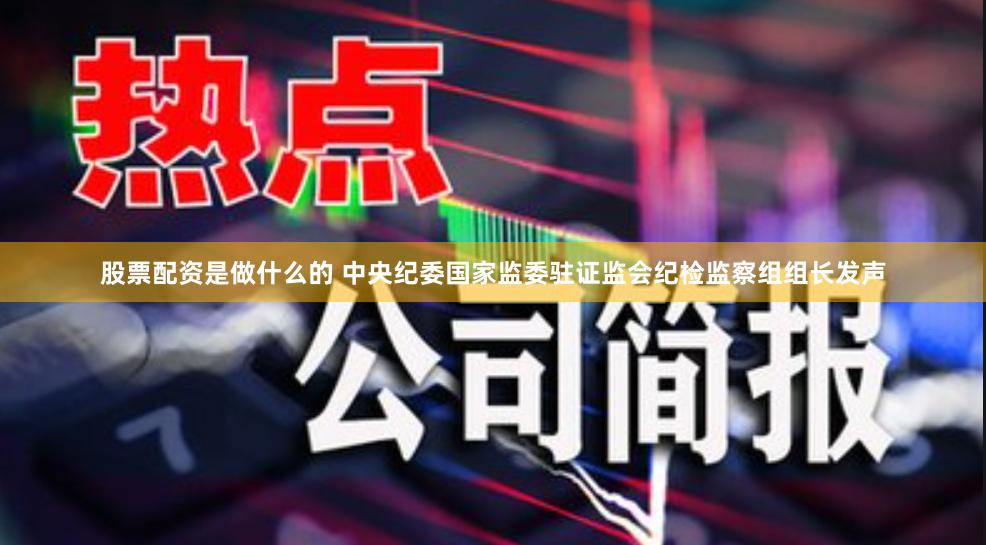 股票配资是做什么的 中央纪委国家监委驻证监会纪检监察组组长发声
