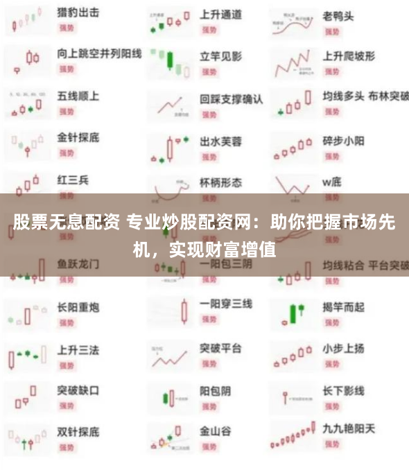 股票无息配资 专业炒股配资网：助你把握市场先机，实现财富增值
