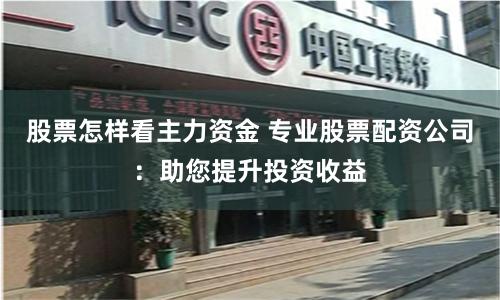 股票怎样看主力资金 专业股票配资公司:助您提升投资收益