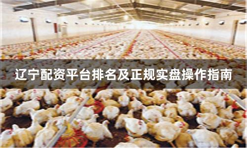 辽宁配资平台排名及正规实盘操作指南